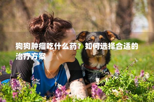 狗狗腫瘤吃什么藥？如何選擇合適的治療方案