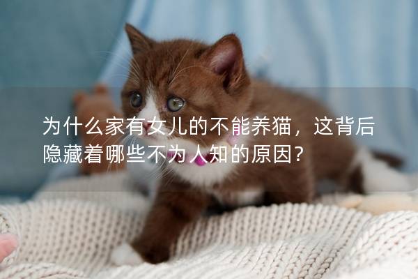 為什么家有女兒的不能養貓，這背后隱藏著哪些不為人知的原因？