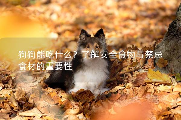 狗狗能吃什么?了解安全食物與禁忌食材的重要性 狗狗能吃什么?了解安全食物與禁忌食材的重要性