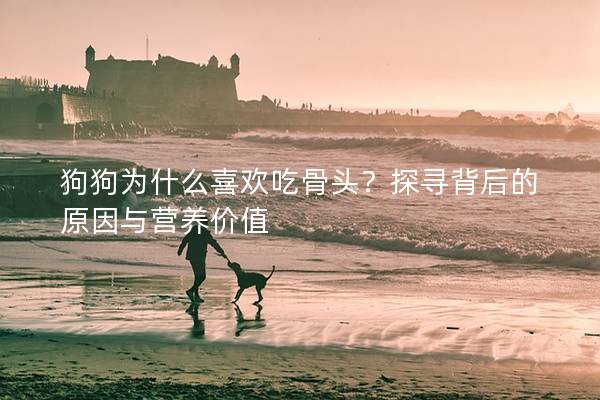 狗狗為什么喜歡吃骨頭？探尋背后的原因與營養(yǎng)價值