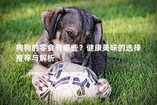 狗狗的零食有哪些？健康美味的選擇推薦與解析