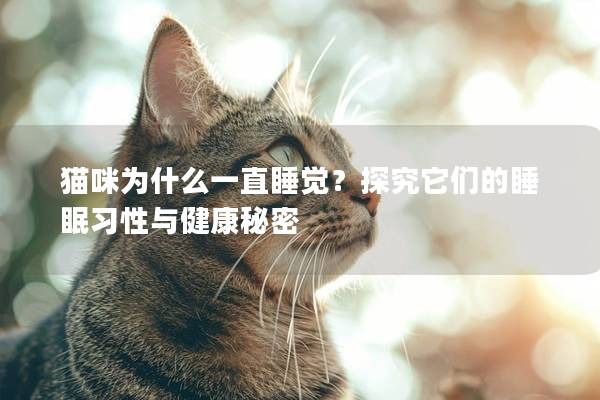 貓咪為什么一直睡覺？探究它們的睡眠習(xí)性與健康秘密