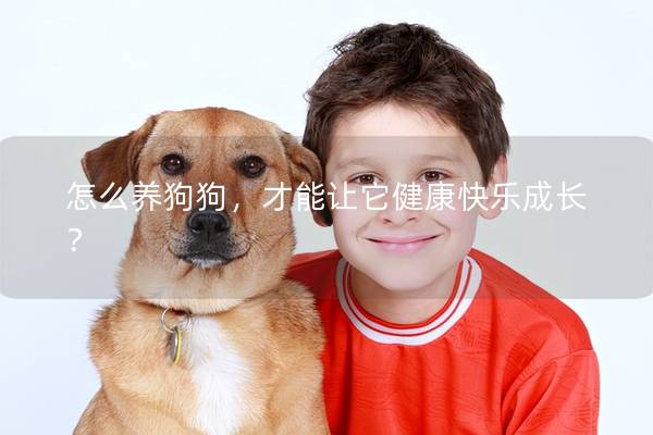 怎么養狗狗，才能讓它健康快樂成長？