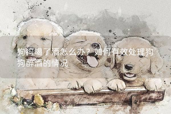 狗狗喝了酒怎么辦？如何有效處理狗狗醉酒的情況