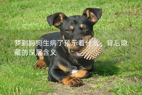 夢到狗狗生病了預(yù)示著什么，背后隱藏的深層含義