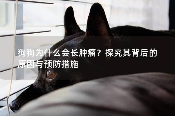 狗狗為什么會長腫瘤？探究其背后的原因與預(yù)防措施