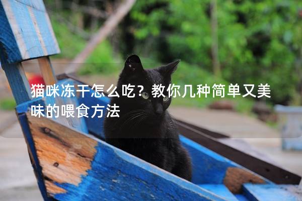 貓咪凍干怎么吃？教你幾種簡單又美味的喂食方法
