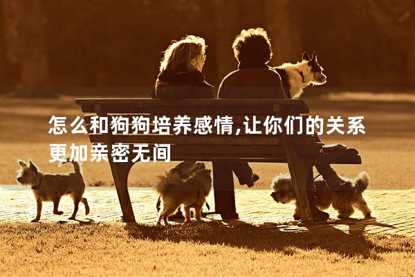 怎么和狗狗培養(yǎng)感情,讓你們的關(guān)系更加親密無間