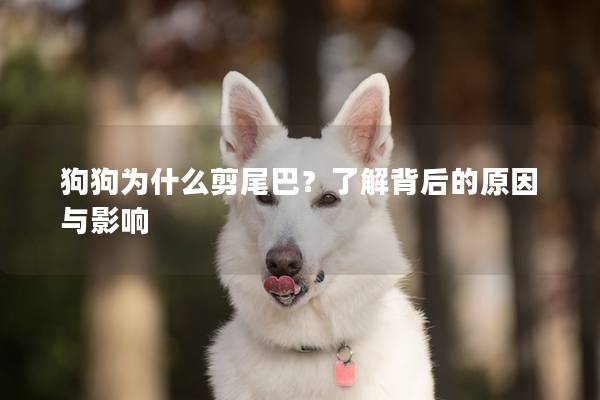 狗狗為什么剪尾巴？了解背后的原因與影響