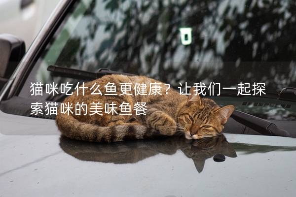 貓咪吃什么魚更健康？讓我們一起探索貓咪的美味魚餐