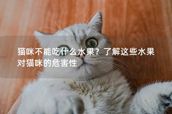 貓咪不能吃什么水果？了解這些水果對貓咪的危害性