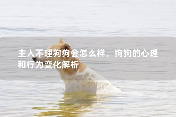 主人不理狗狗會(huì)怎么樣，狗狗的心理和行為變化解析