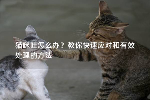 貓咪吐怎么辦？教你快速應對和有效處理的方法