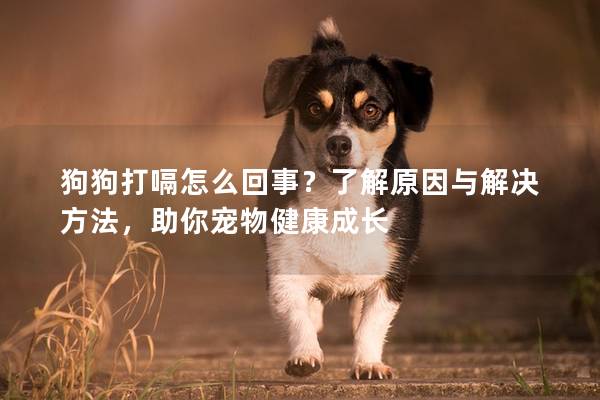 狗狗打嗝怎么回事？了解原因與解決方法，助你寵物健康成長