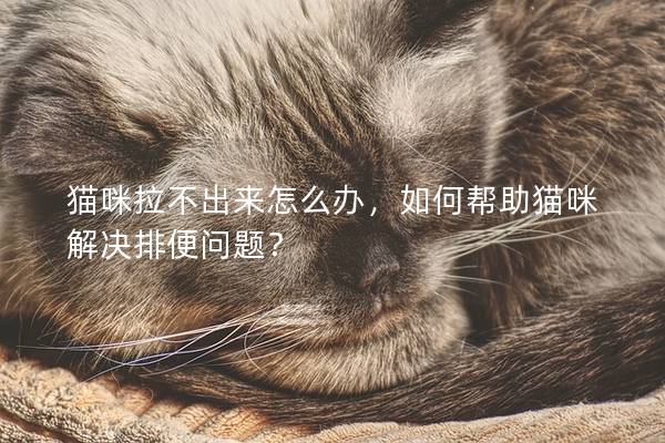 貓咪拉不出來怎么辦，如何幫助貓咪解決排便問題？