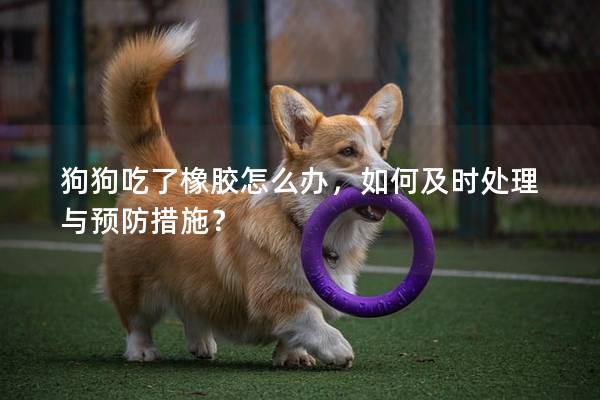 狗狗吃了橡膠怎么辦，如何及時處理與預防措施？