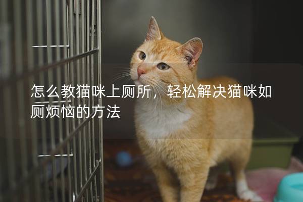 怎么教貓咪上廁所，輕松解決貓咪如廁煩惱的方法