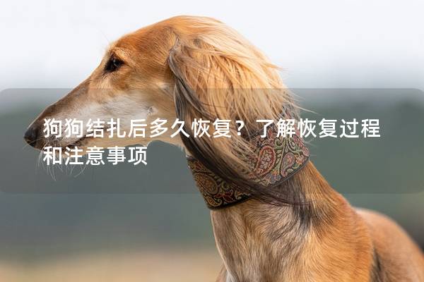 狗狗結扎后多久恢復？了解恢復過程和注意事項