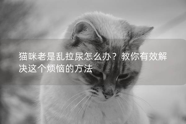 貓咪老是亂拉尿怎么辦？教你有效解決這個煩惱的方法