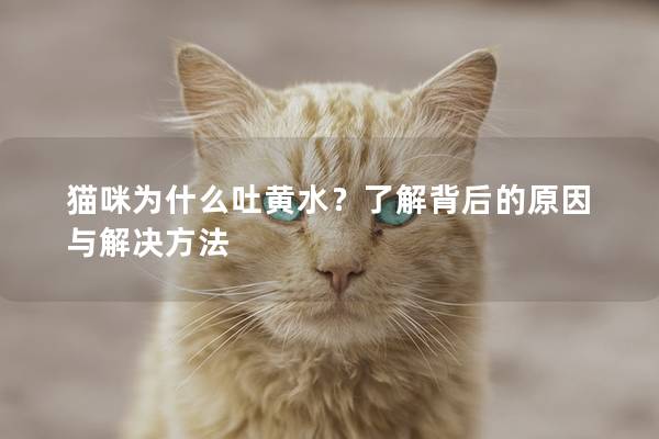 貓咪為什么吐黃水？了解背后的原因與解決方法