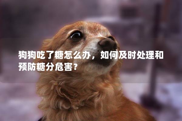 狗狗吃了糖怎么辦，如何及時(shí)處理和預(yù)防糖分危害？