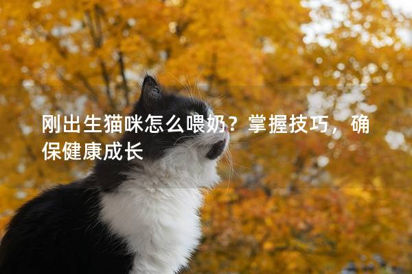 剛出生貓咪怎么喂奶？掌握技巧，確保健康成長