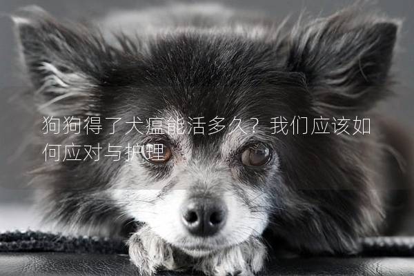 狗狗得了犬瘟能活多久？我們應(yīng)該如何應(yīng)對(duì)與護(hù)理