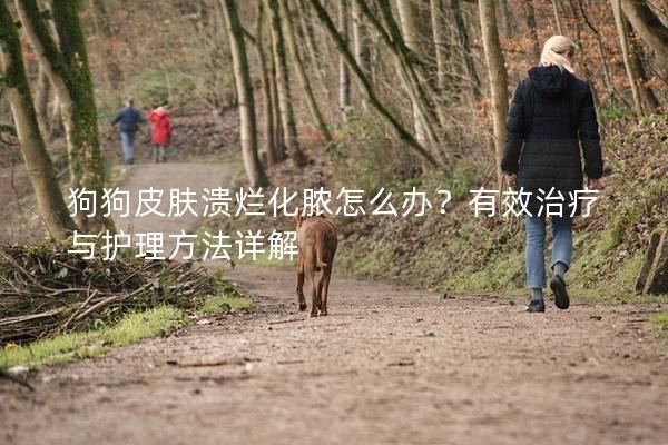 狗狗皮膚潰爛化膿怎么辦？有效治療與護理方法詳解