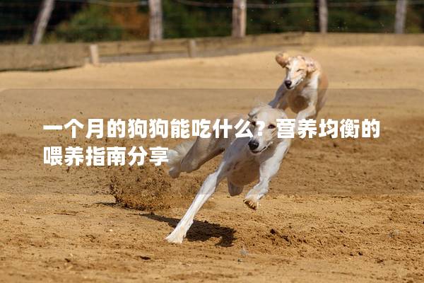 一個月的狗狗能吃什么？營養(yǎng)均衡的喂養(yǎng)指南分享