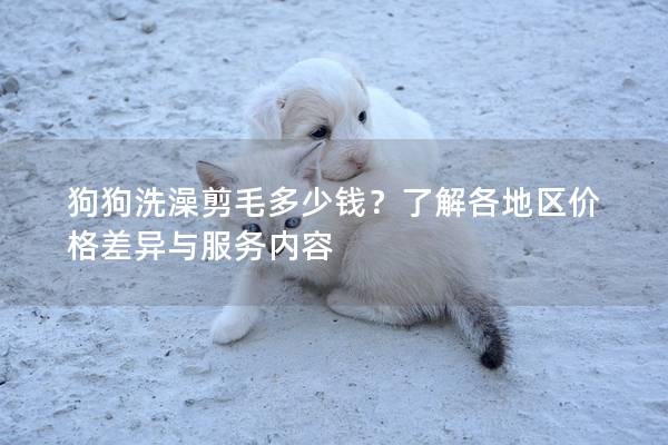 狗狗洗澡剪毛多少錢？了解各地區(qū)價格差異與服務(wù)內(nèi)容