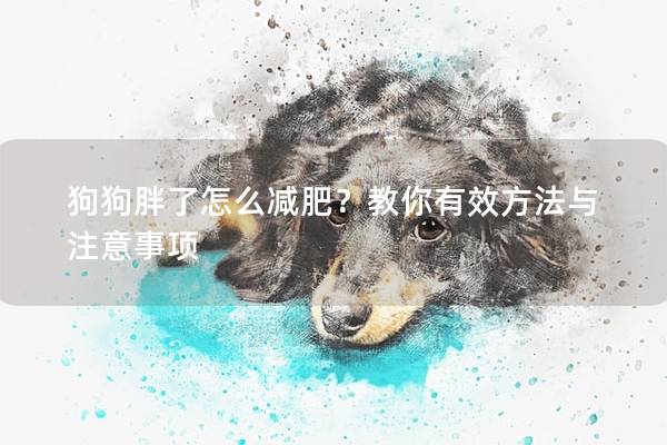 狗狗胖了怎么減肥？教你有效方法與注意事項