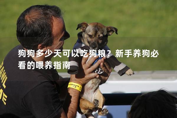 狗狗多少天可以吃狗糧？新手養(yǎng)狗必看的喂養(yǎng)指南