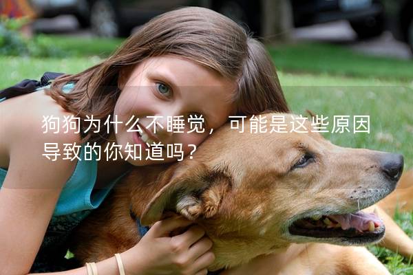 狗狗為什么不睡覺，可能是這些原因?qū)е碌哪阒绬幔? title=