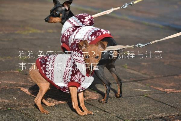 狗狗免疫證怎么辦?了解流程與注意事項,確保健康保障 狗狗免疫證怎么辦?了解流程與注意事項,確保健康保障