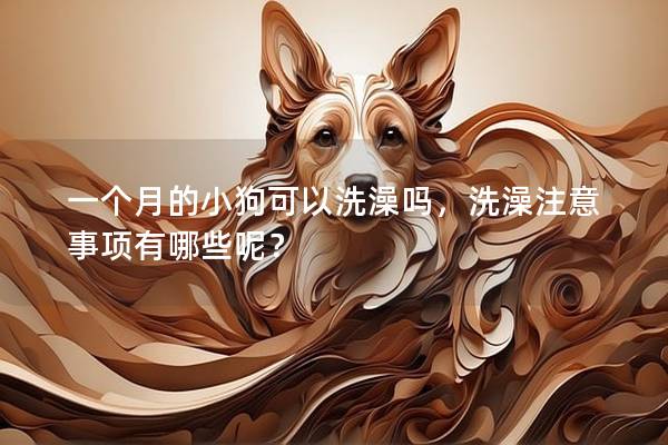一個月的小狗可以洗澡嗎，洗澡注意事項有哪些呢？