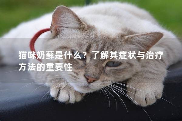 貓咪奶蘚是什么？了解其癥狀與治療方法的重要性