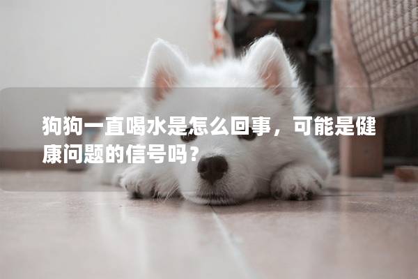 狗狗一直喝水是怎么回事,可能是健康問題的信號嗎? 狗狗一直喝水是怎么回事,可能是健康問題的信號嗎?