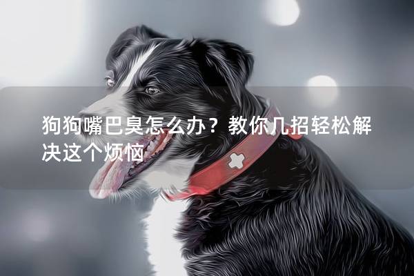 狗狗嘴巴臭怎么辦？教你幾招輕松解決這個(gè)煩惱