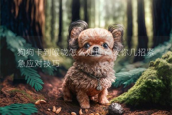 狗狗卡到喉嚨怎么處理？教你幾招緊急應對技巧