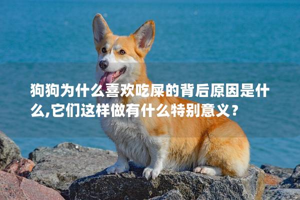 狗狗為什么喜歡吃屎的背后原因是什么,它們這樣做有什么特別意義？
