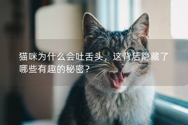 貓咪為什么會吐舌頭，這背后隱藏了哪些有趣的秘密？