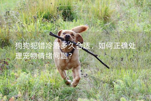 狗狗犯錯冷落多久合適,如何正確處理寵物情緒問題? 狗狗犯錯冷落多久合適,如何正確處理寵物情緒問題?