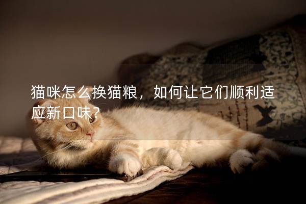 貓咪怎么換貓糧，如何讓它們順利適應新口味？