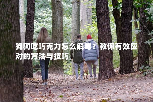 狗狗吃巧克力怎么解毒?教你有效應對的方法與技巧 狗狗吃巧克力怎么解毒?教你有效應對的方法與技巧