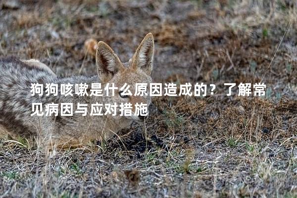 狗狗咳嗽是什么原因造成的？了解常見病因與應對措施