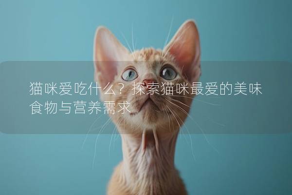 貓咪愛吃什么？探索貓咪最愛的美味食物與營養需求