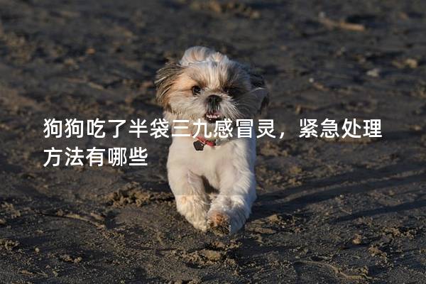 狗狗吃了半袋三九感冒靈，緊急處理方法有哪些