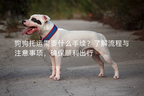 狗狗托運需要什么手續?了解流程與注意事項,確保順利出行 狗狗托運需要什么手續?了解流程與注意事項,確保順利出行