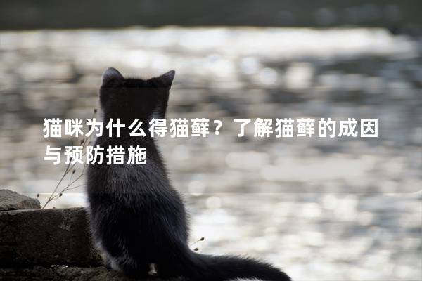貓咪為什么得貓?zhí)\？了解貓?zhí)\的成因與預(yù)防措施