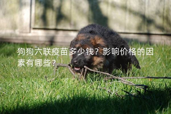 狗狗六聯疫苗多少錢？影響價格的因素有哪些？